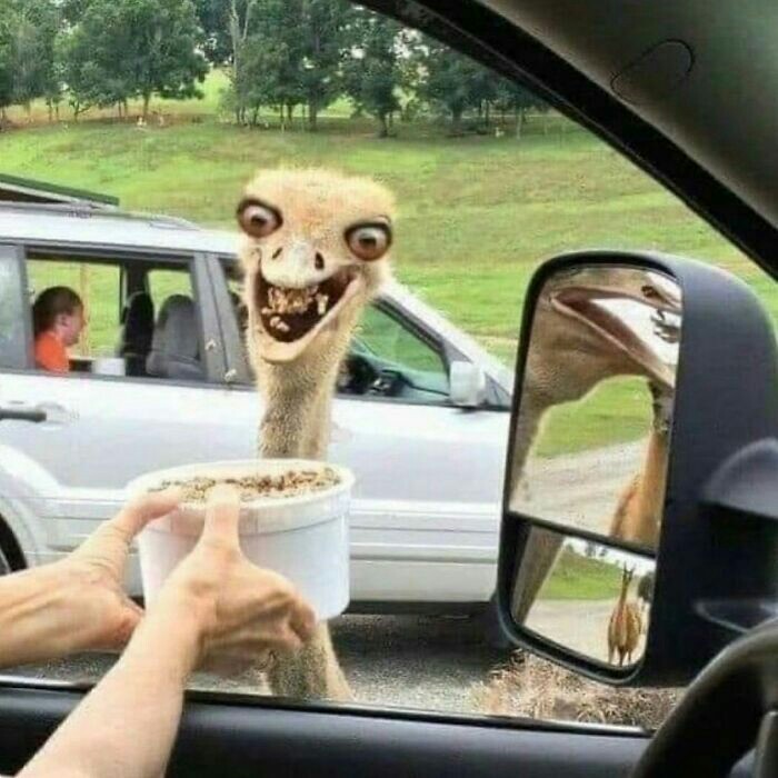 Gönderi görseli