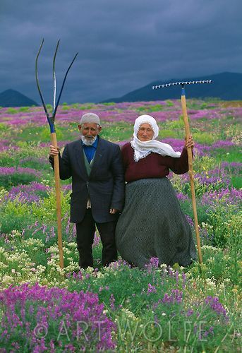 صورة المنشور