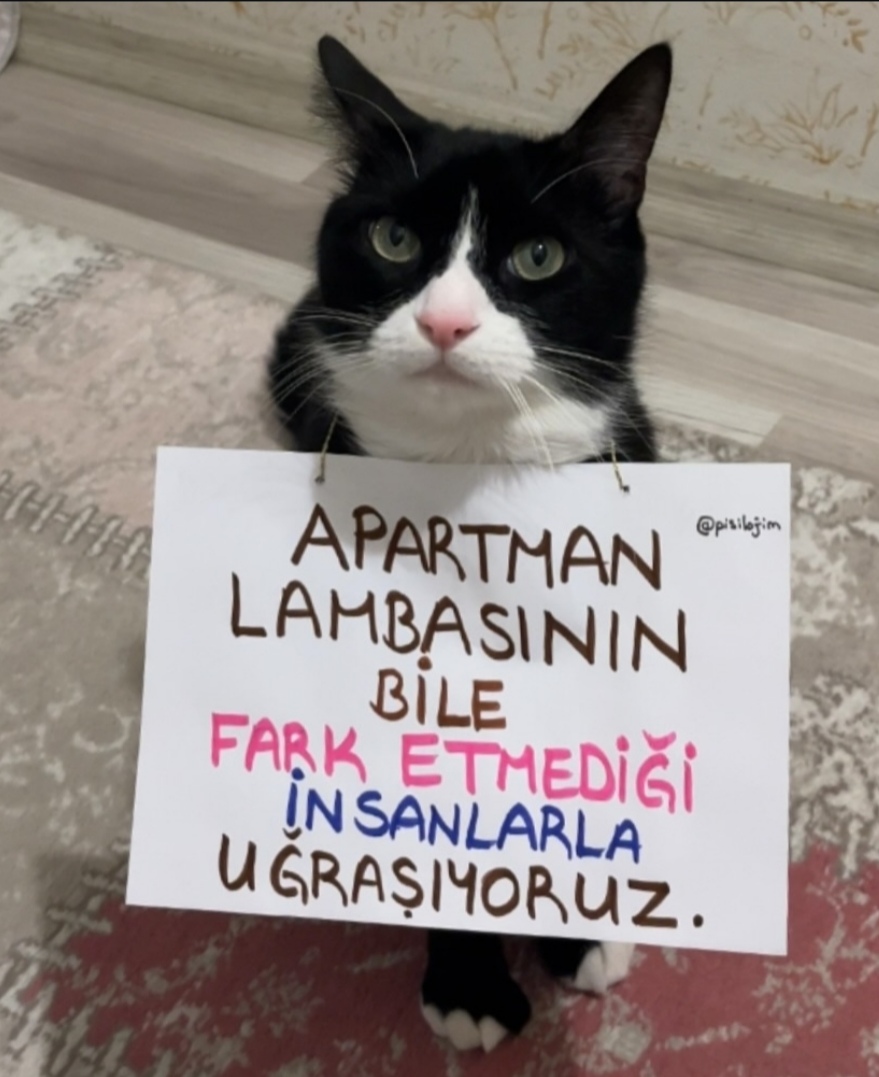 Gönderi görseli