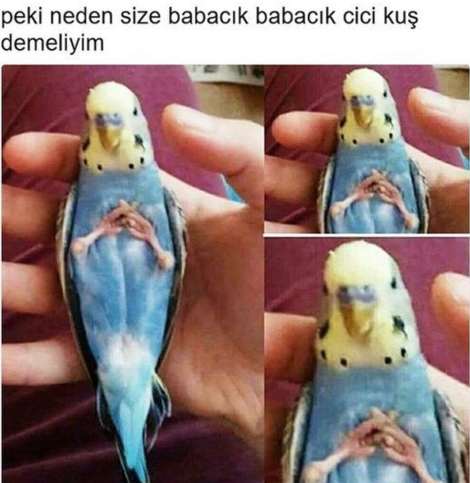 Gönderi görseli