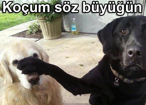 Gönderi görseli
