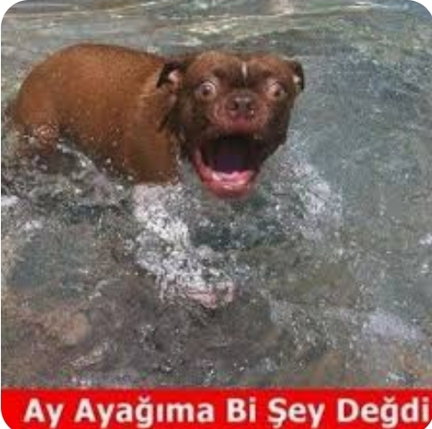 Gönderi görseli