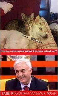 Gönderi görseli