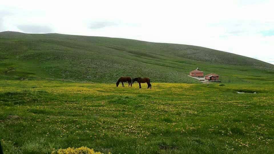 Gönderi görseli