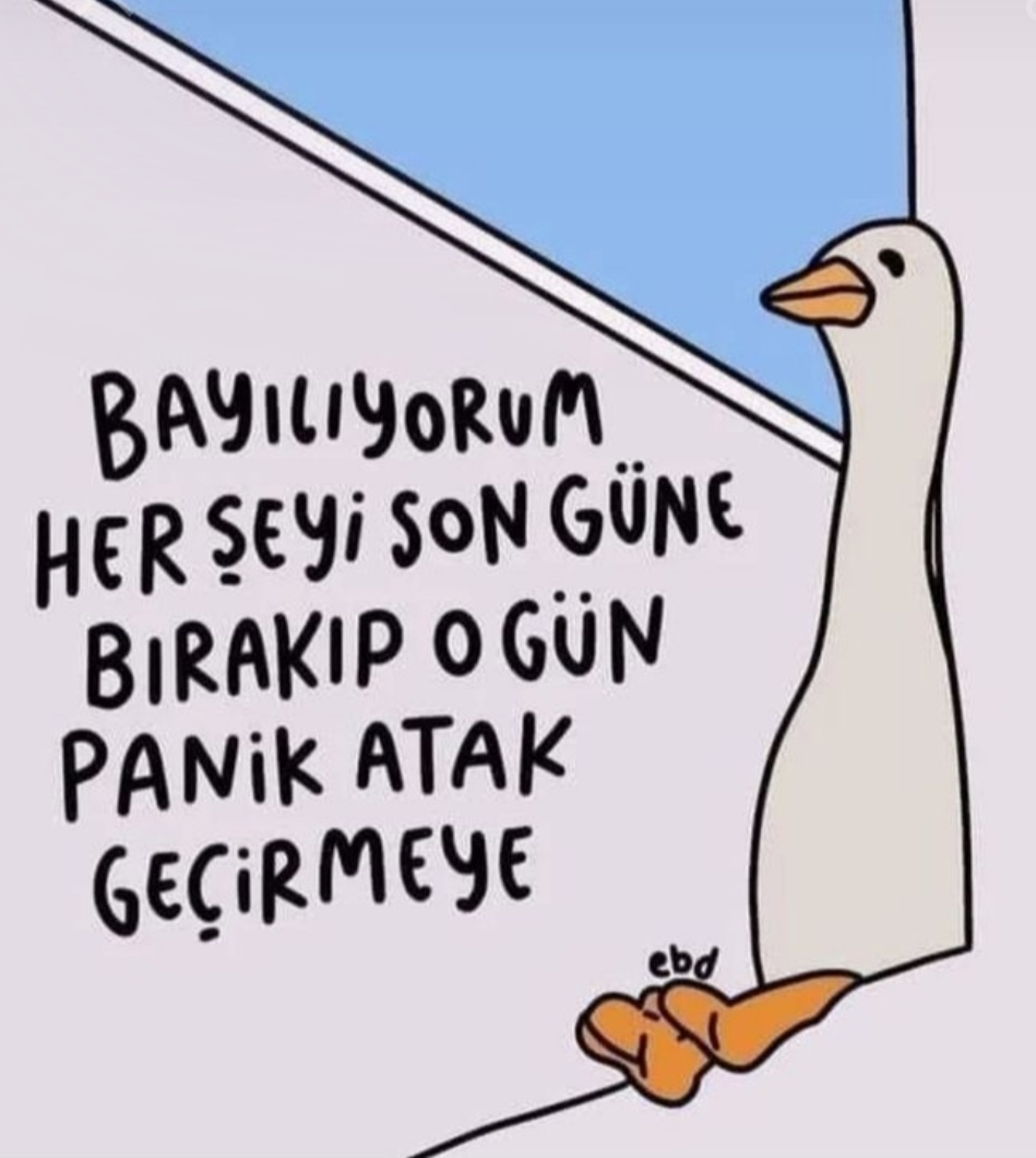 Gönderi görseli