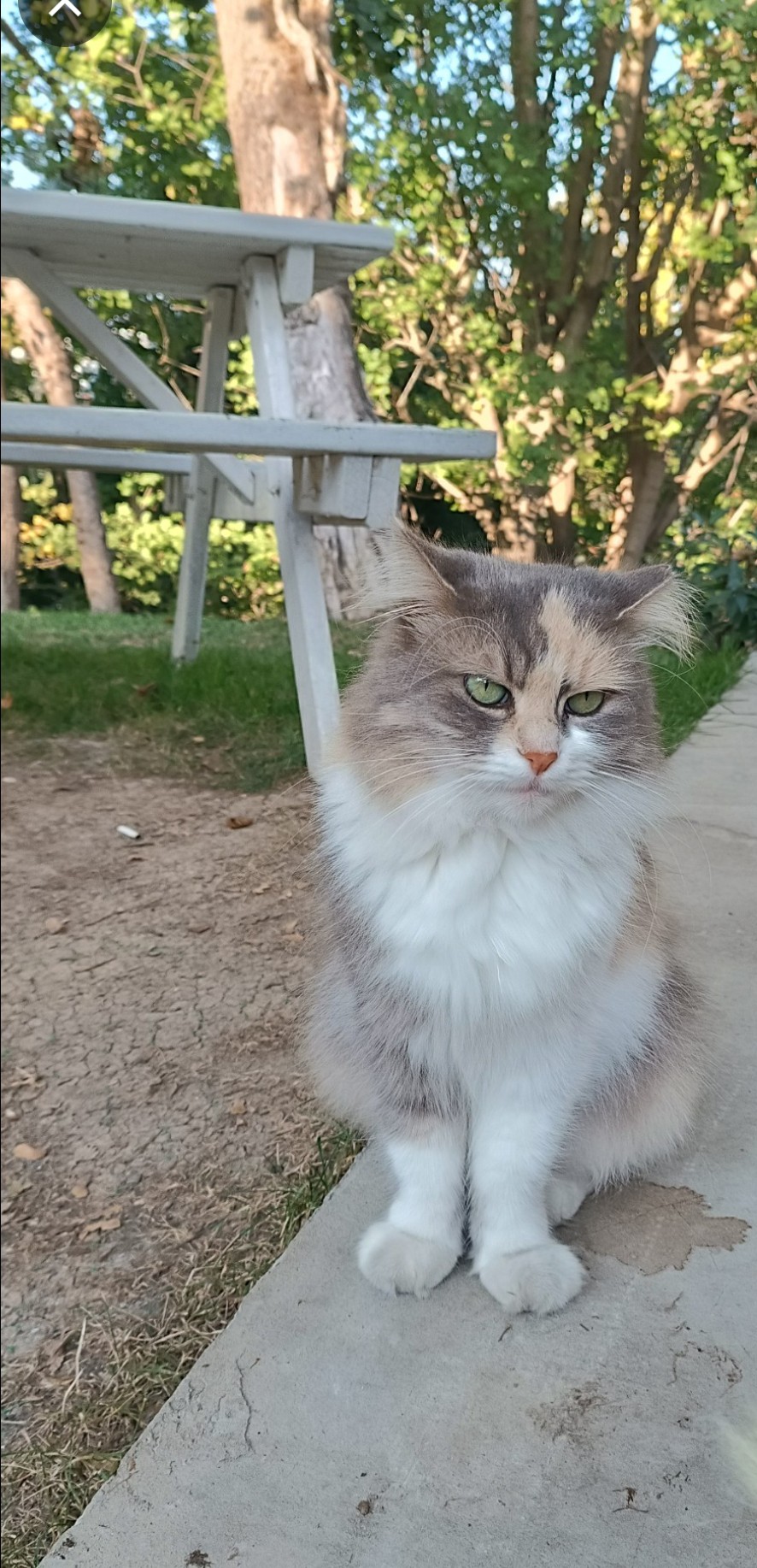 Gönderi görseli