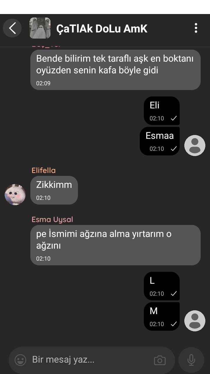 Gönderi görseli