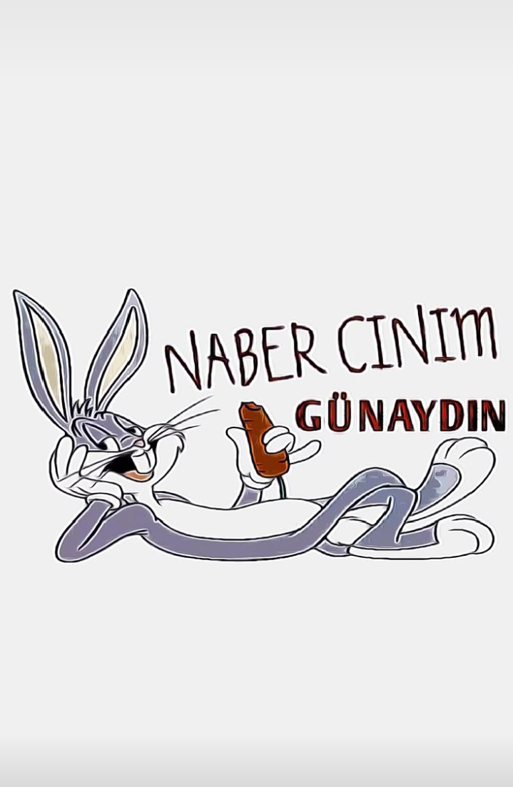 Gönderi görseli
