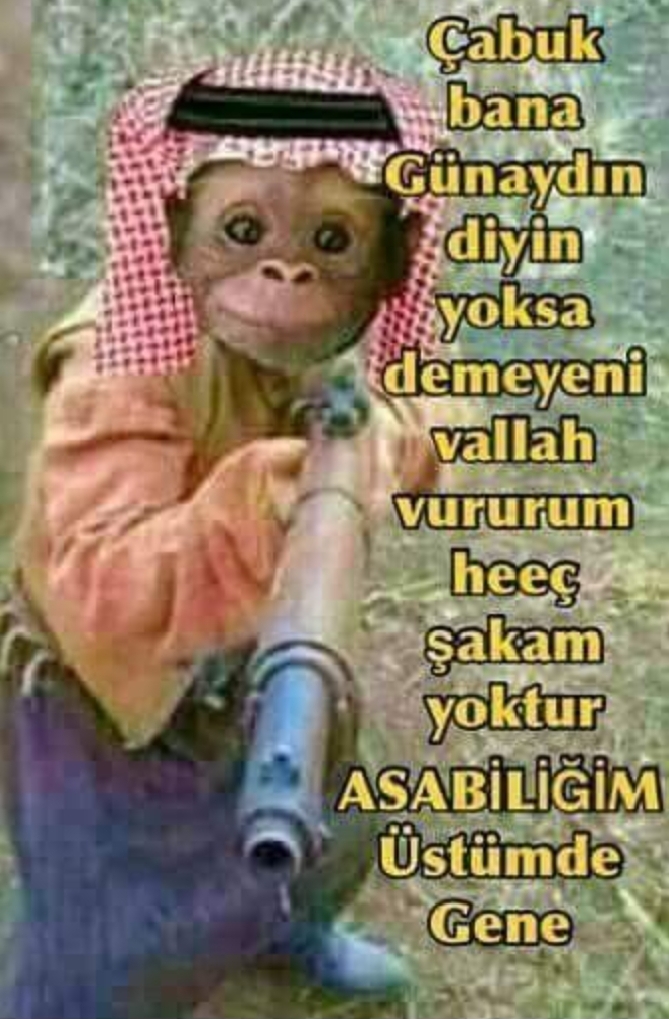 Gönderi görseli