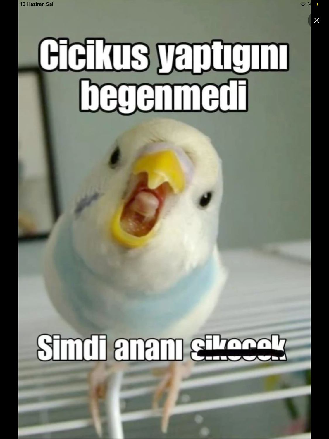 Gönderi görseli