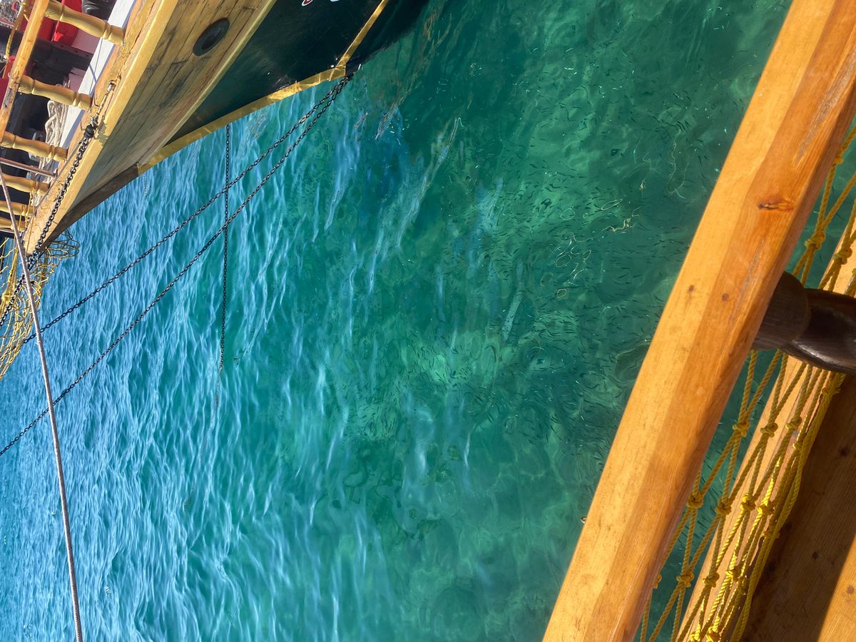 صورة المنشور