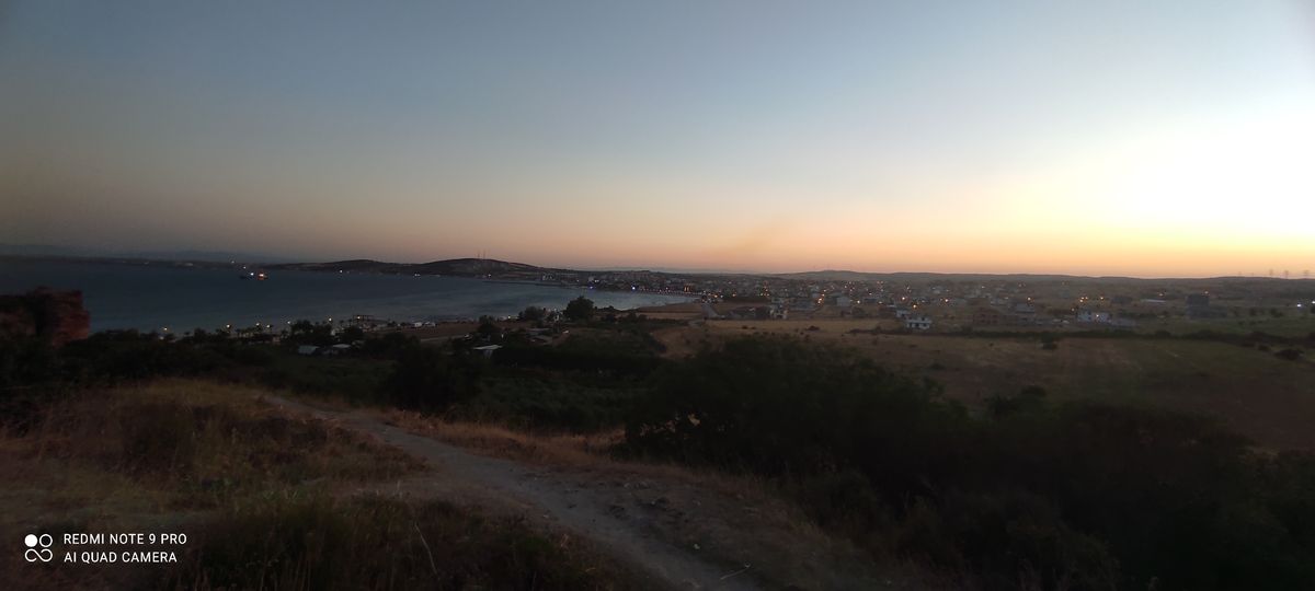 صورة المنشور