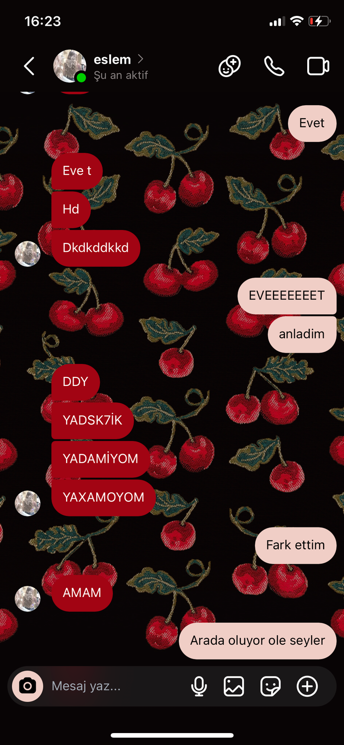 Gönderi görseli