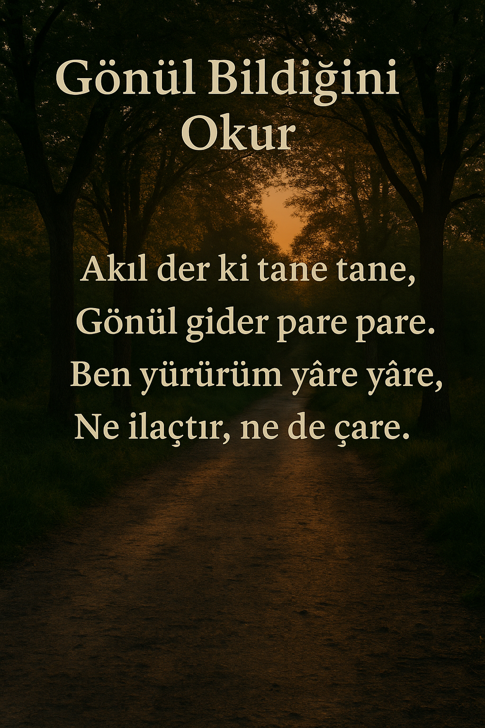 Gönderi görseli