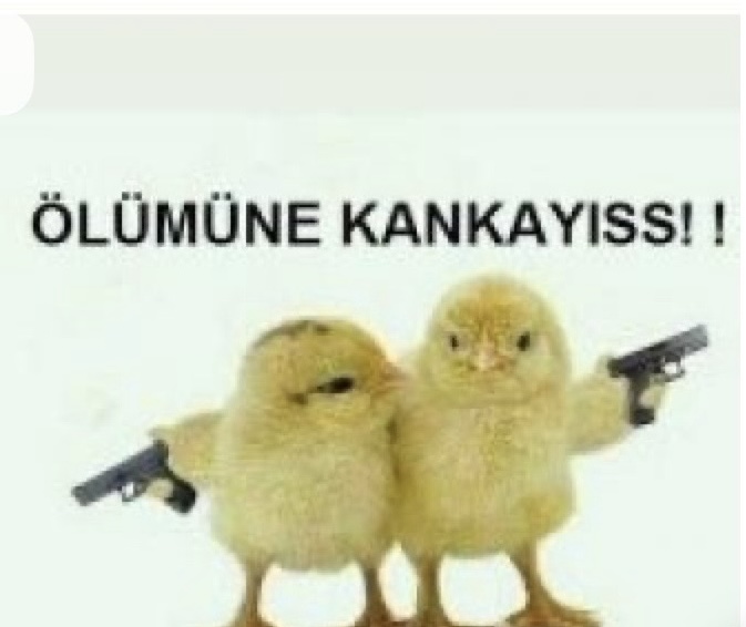 Gönderi görseli
