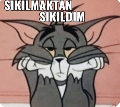 Gönderi görseli