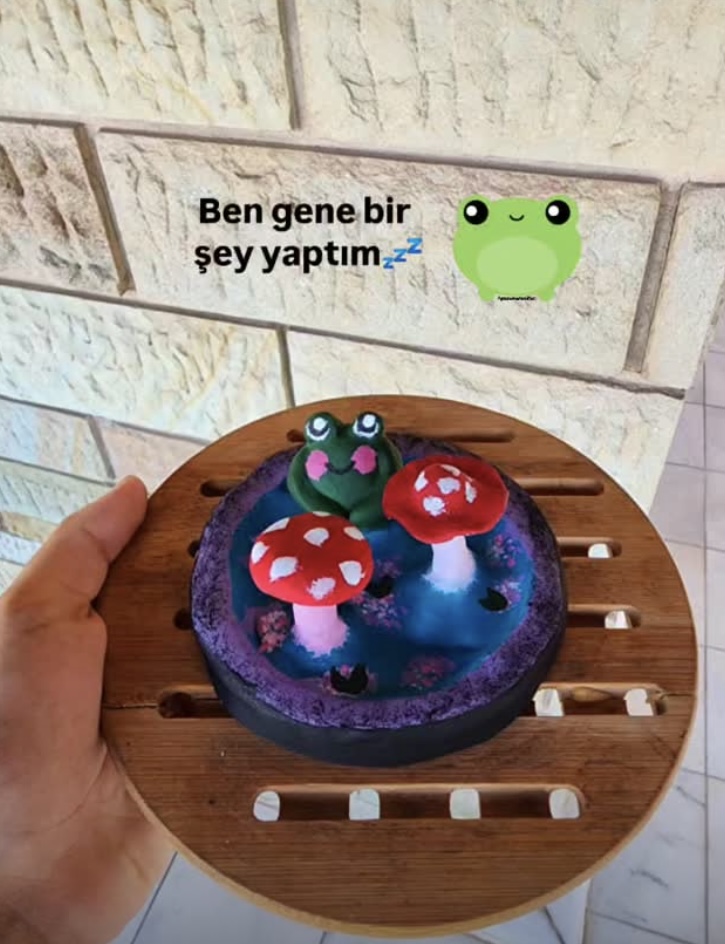 Gönderi görseli