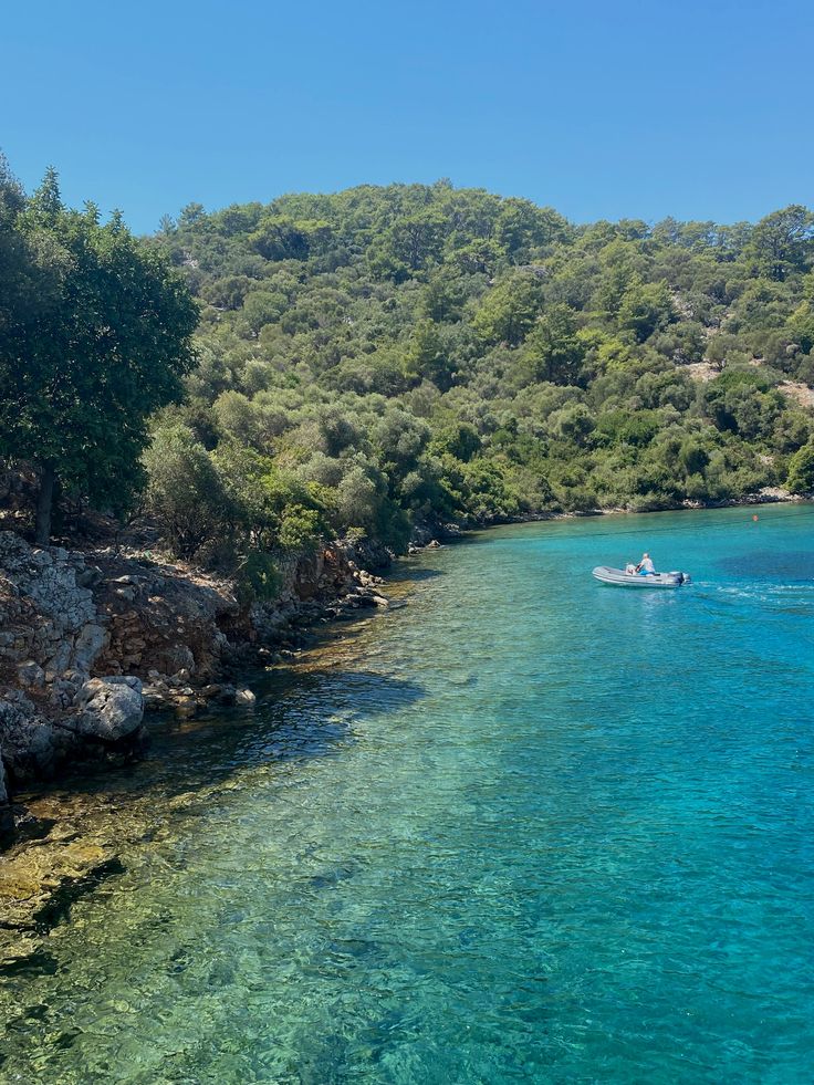 صورة المنشور