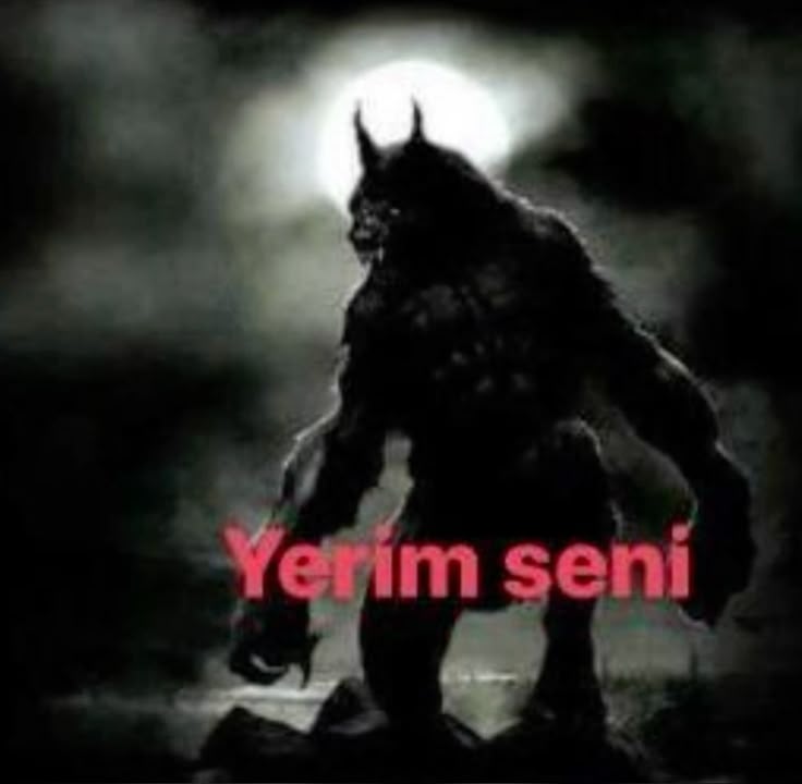 Gönderi görseli