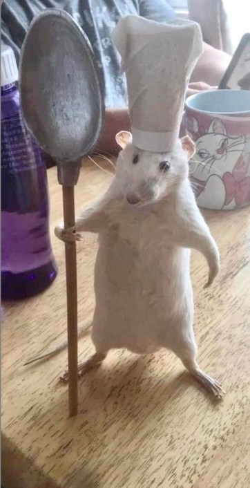 Gönderi görseli