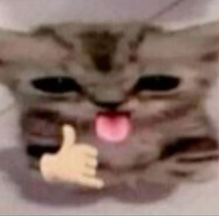 صورة المنشور