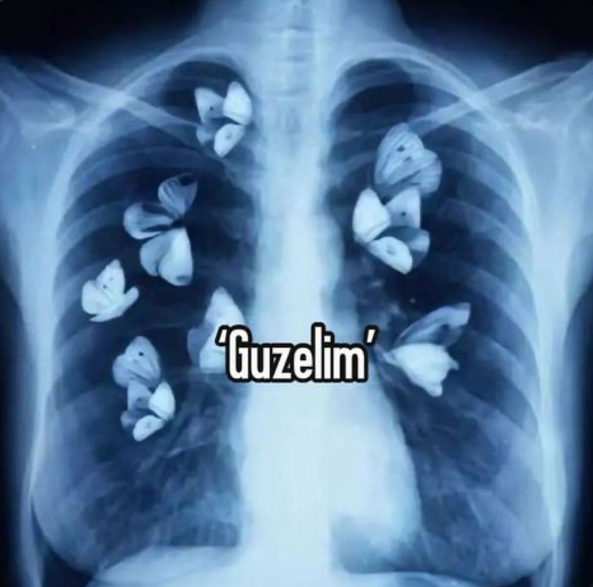 Gönderi görseli
