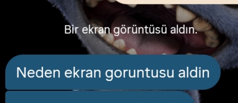 Gönderi görseli