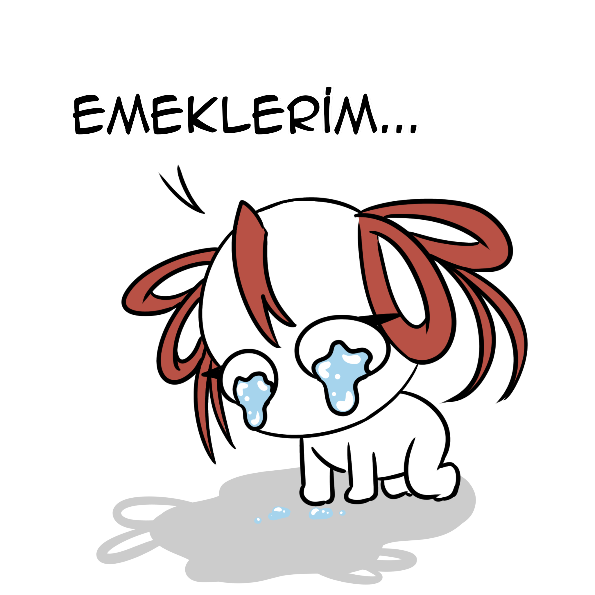 Gönderi görseli