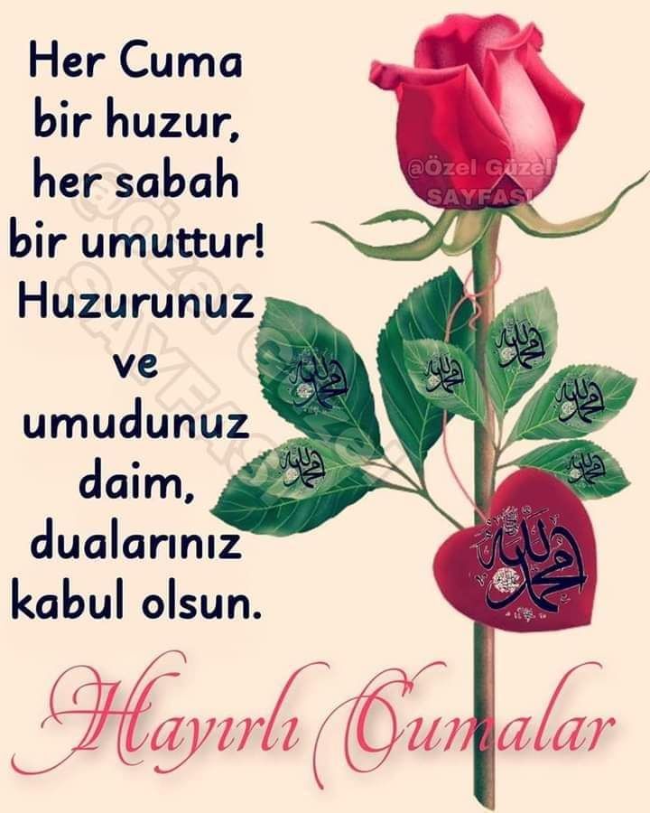 Gönderi görseli