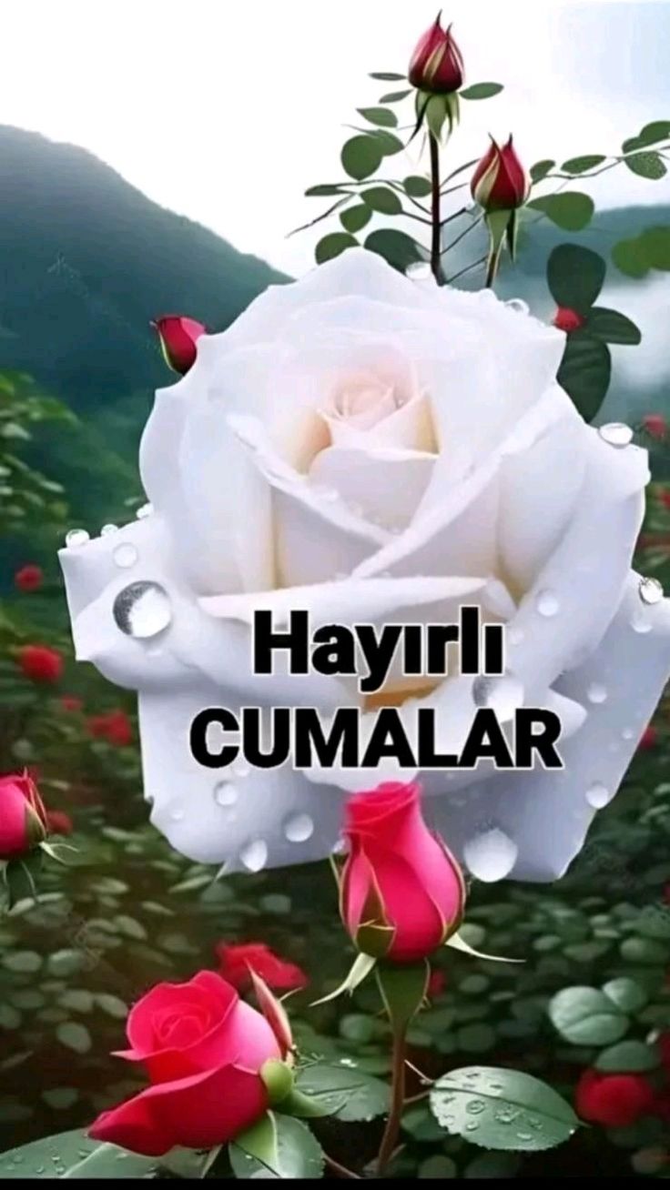 Gönderi görseli