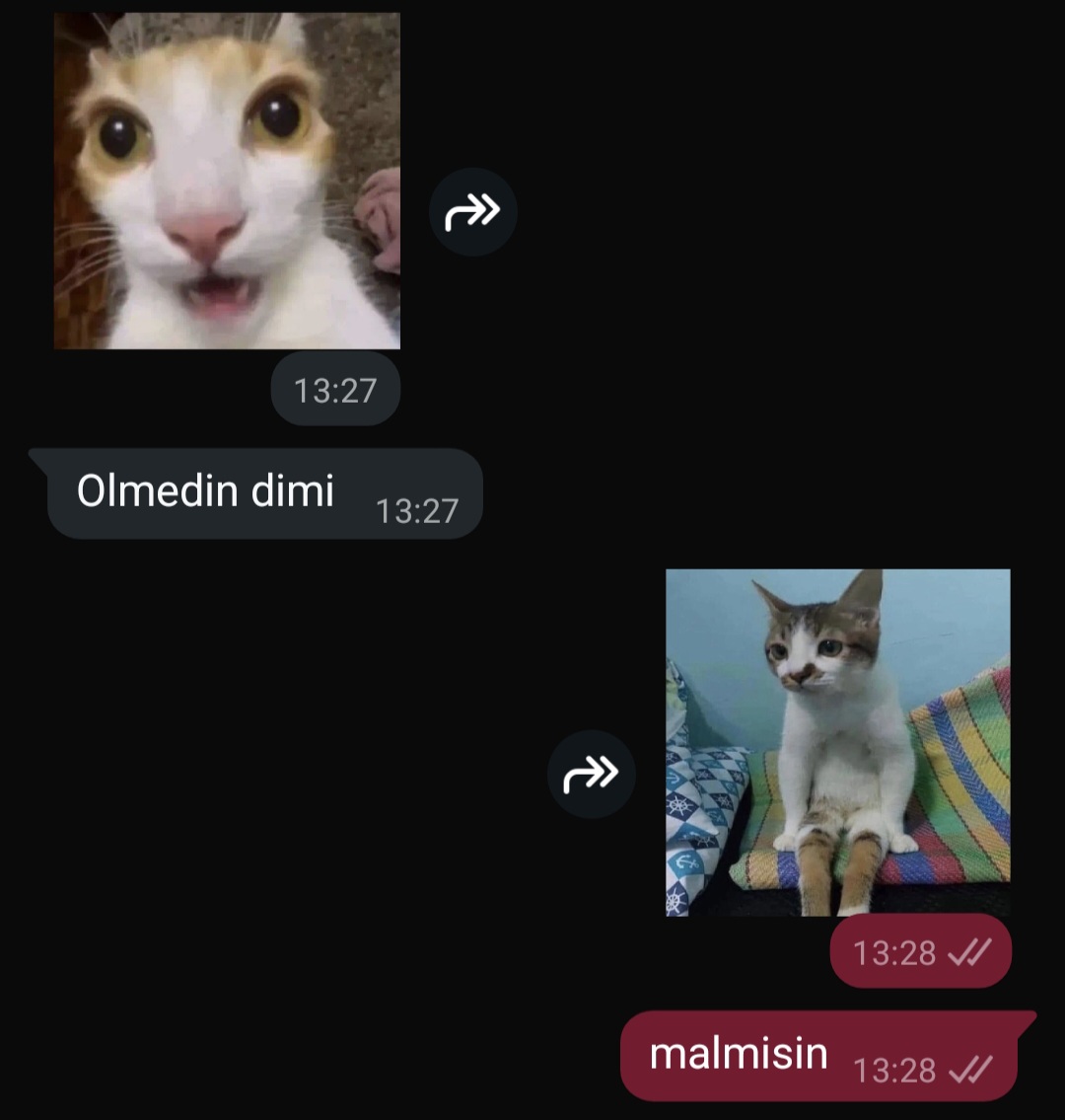 Gönderi görseli