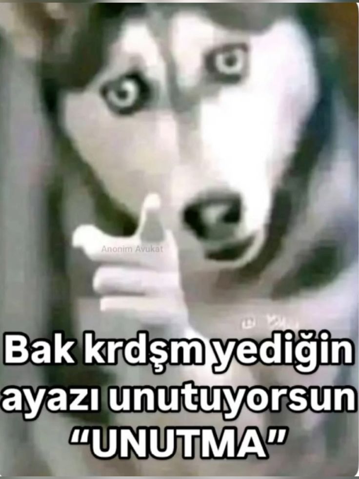 Gönderi görseli
