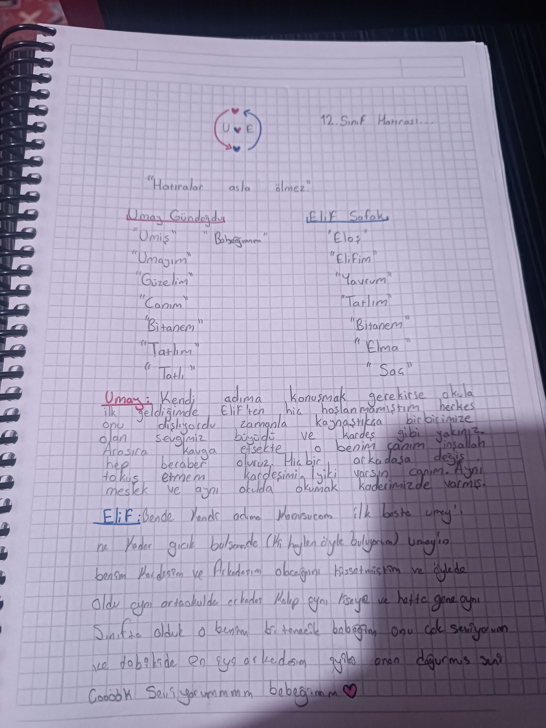 Gönderi görseli