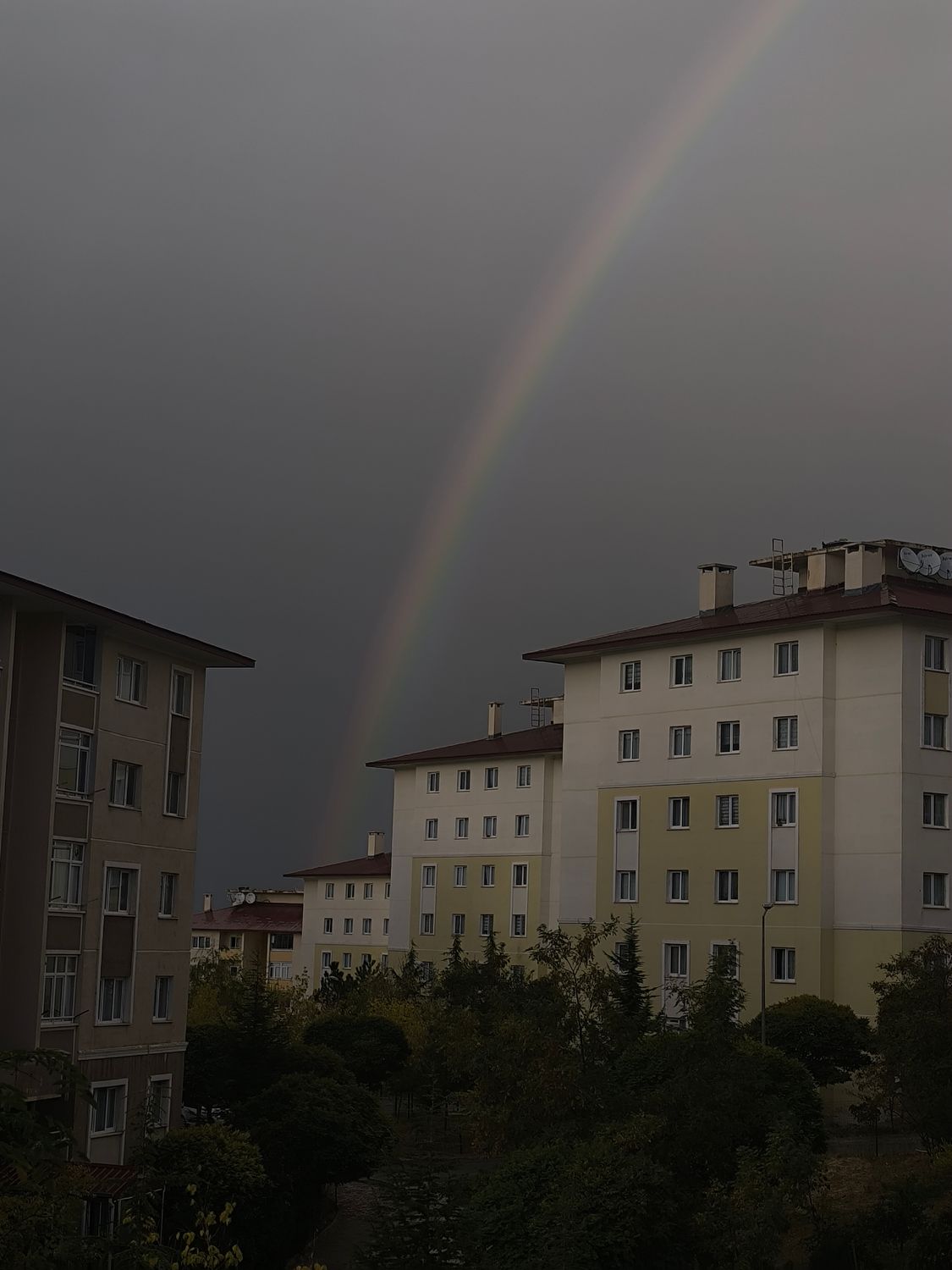 Gönderi görseli