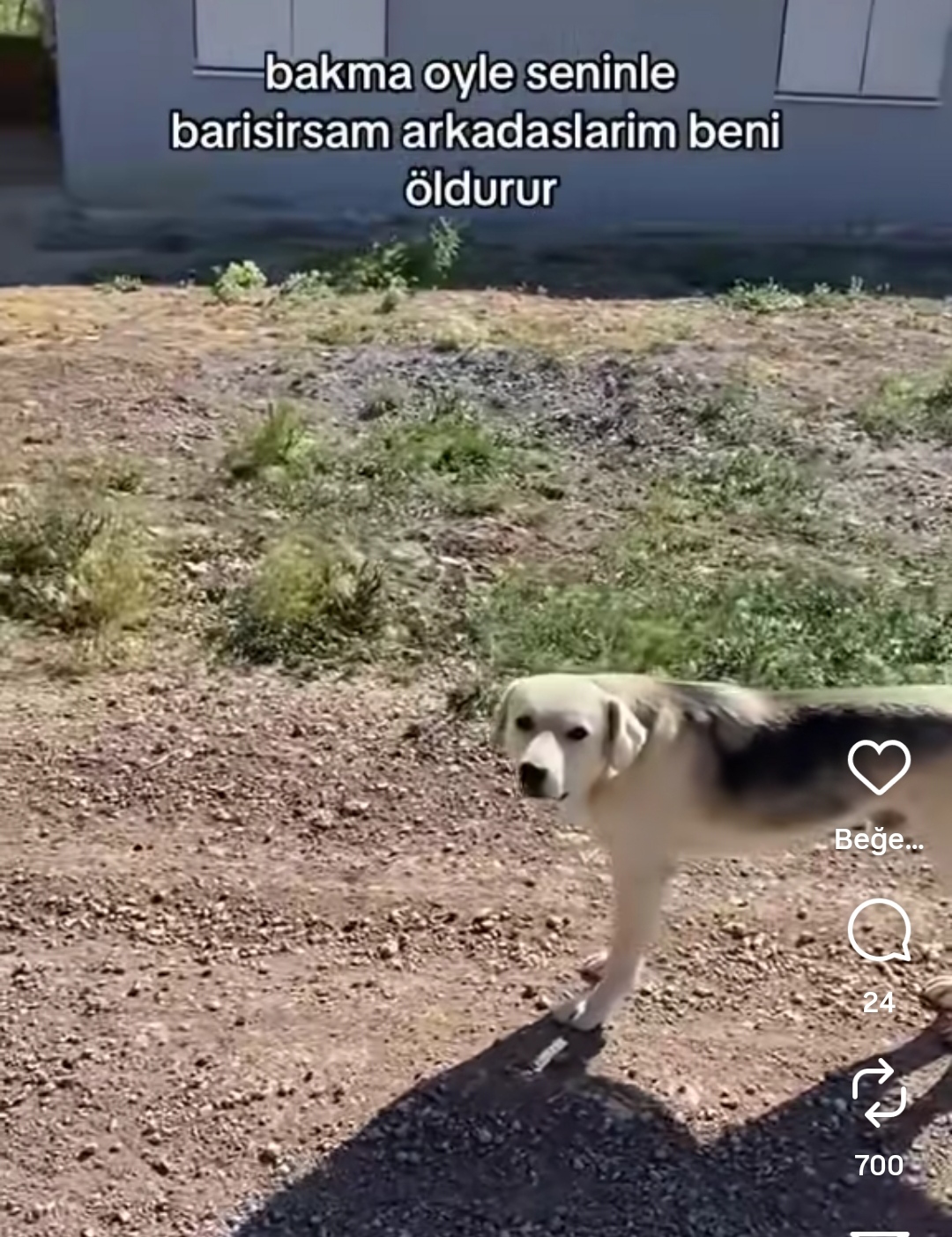 Gönderi görseli