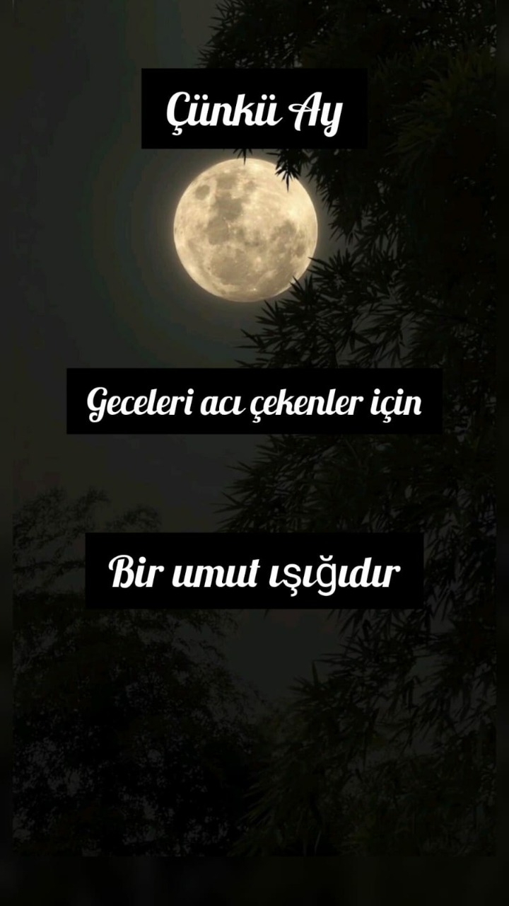 Gönderi görseli