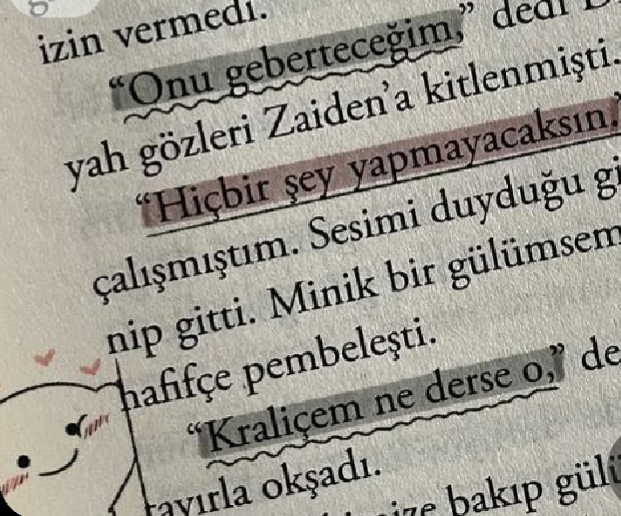 Gönderi görseli
