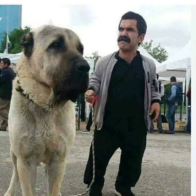 Gönderi görseli