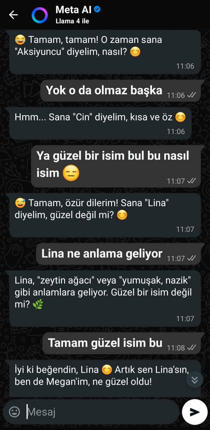 Gönderi görseli