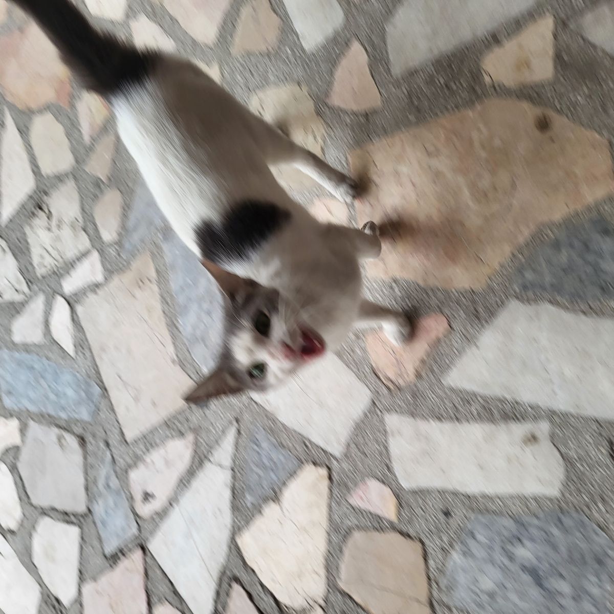 Gönderi görseli