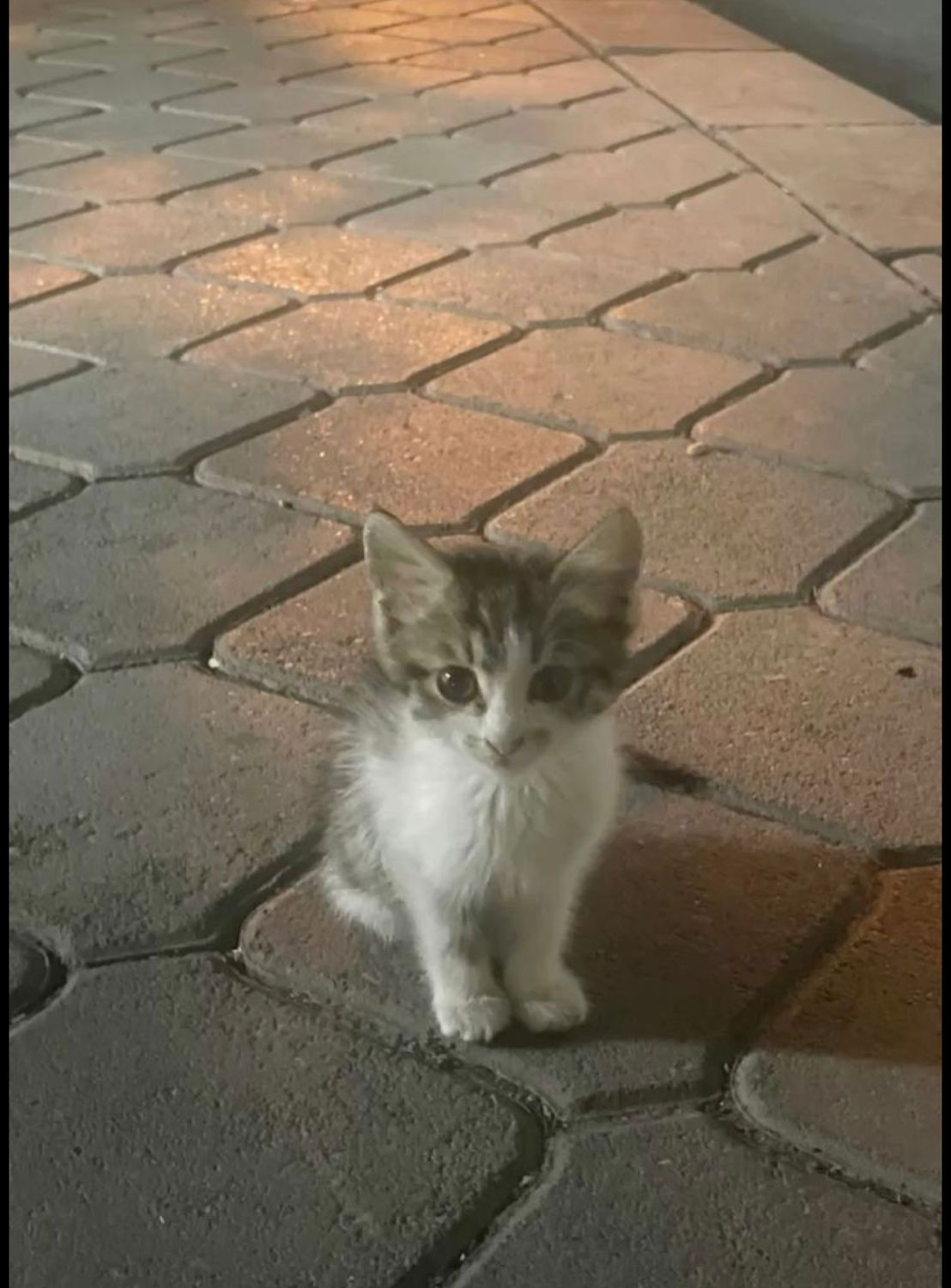 Gönderi görseli
