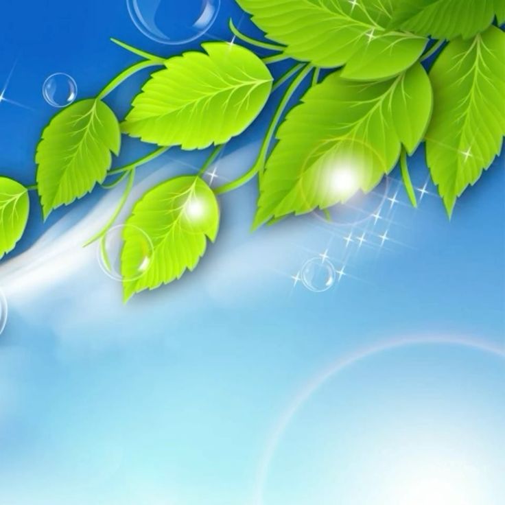 صورة المنشور