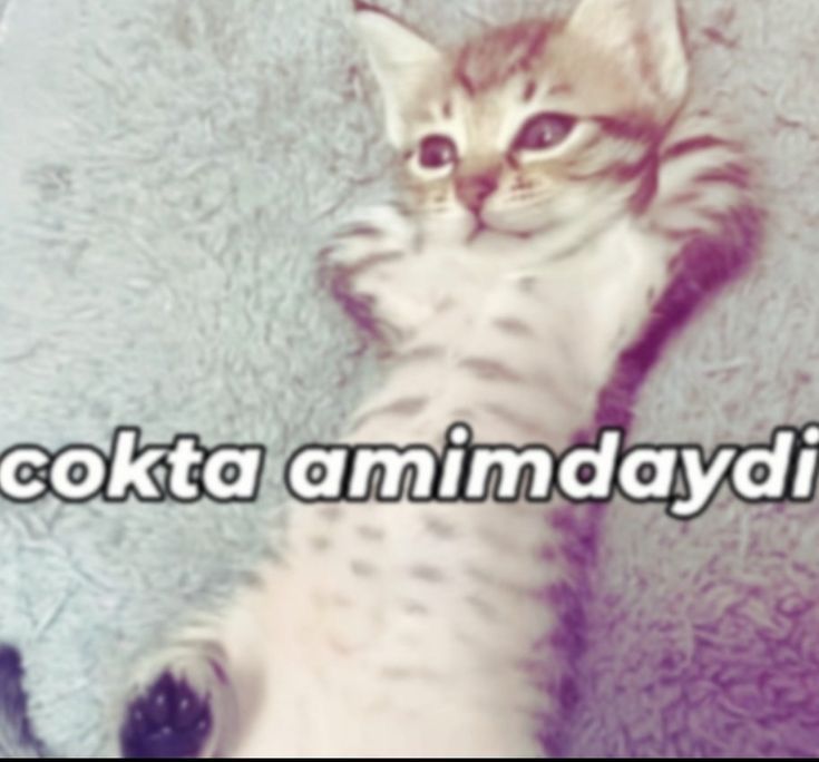 Gönderi görseli