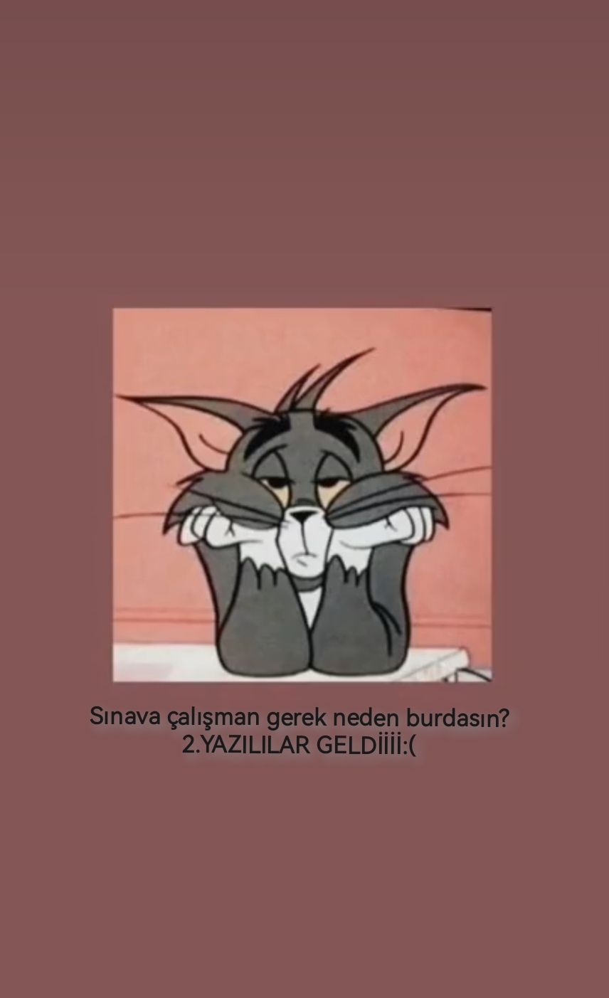 صورة المنشور