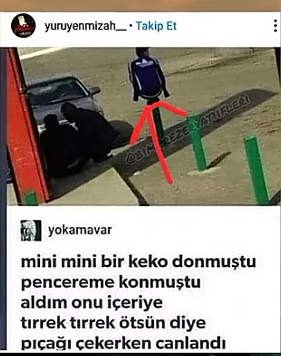 Gönderi görseli