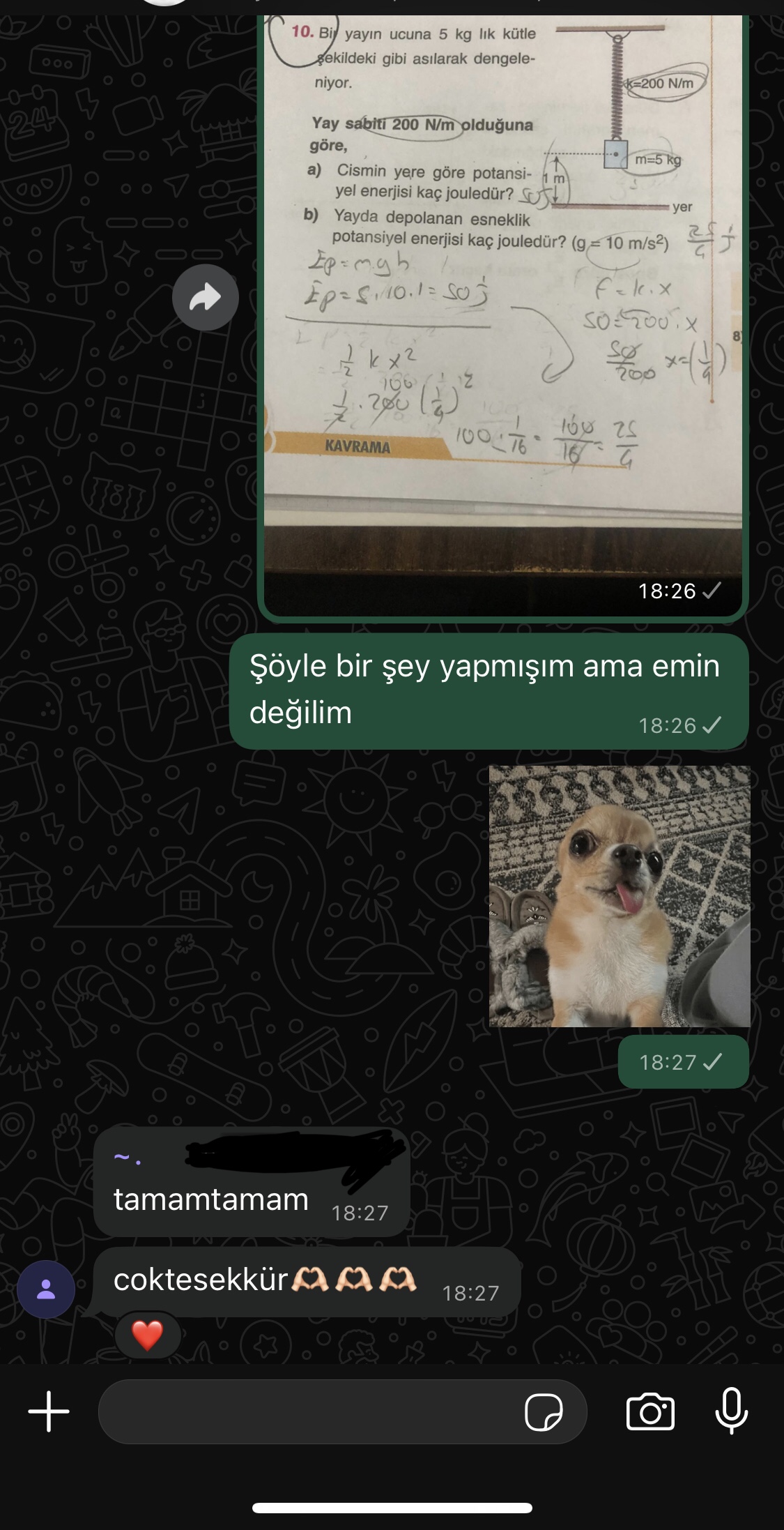 Gönderi görseli