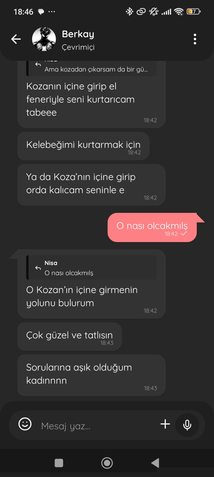 Gönderi görseli