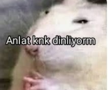 Gönderi görseli