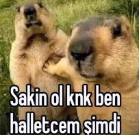 Gönderi görseli