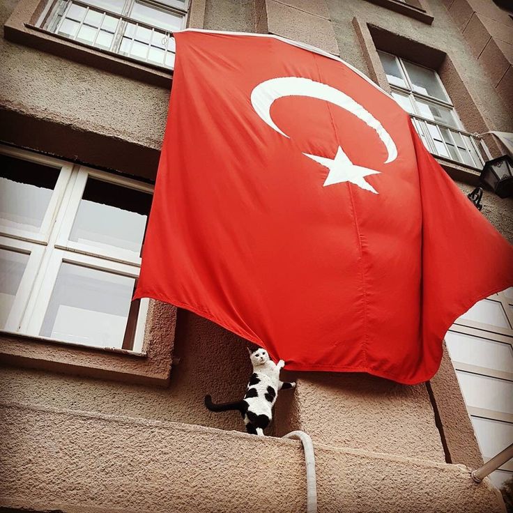Gönderi görseli